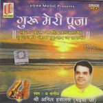Guru Meri Pooja - Anil Hanslas Song Download